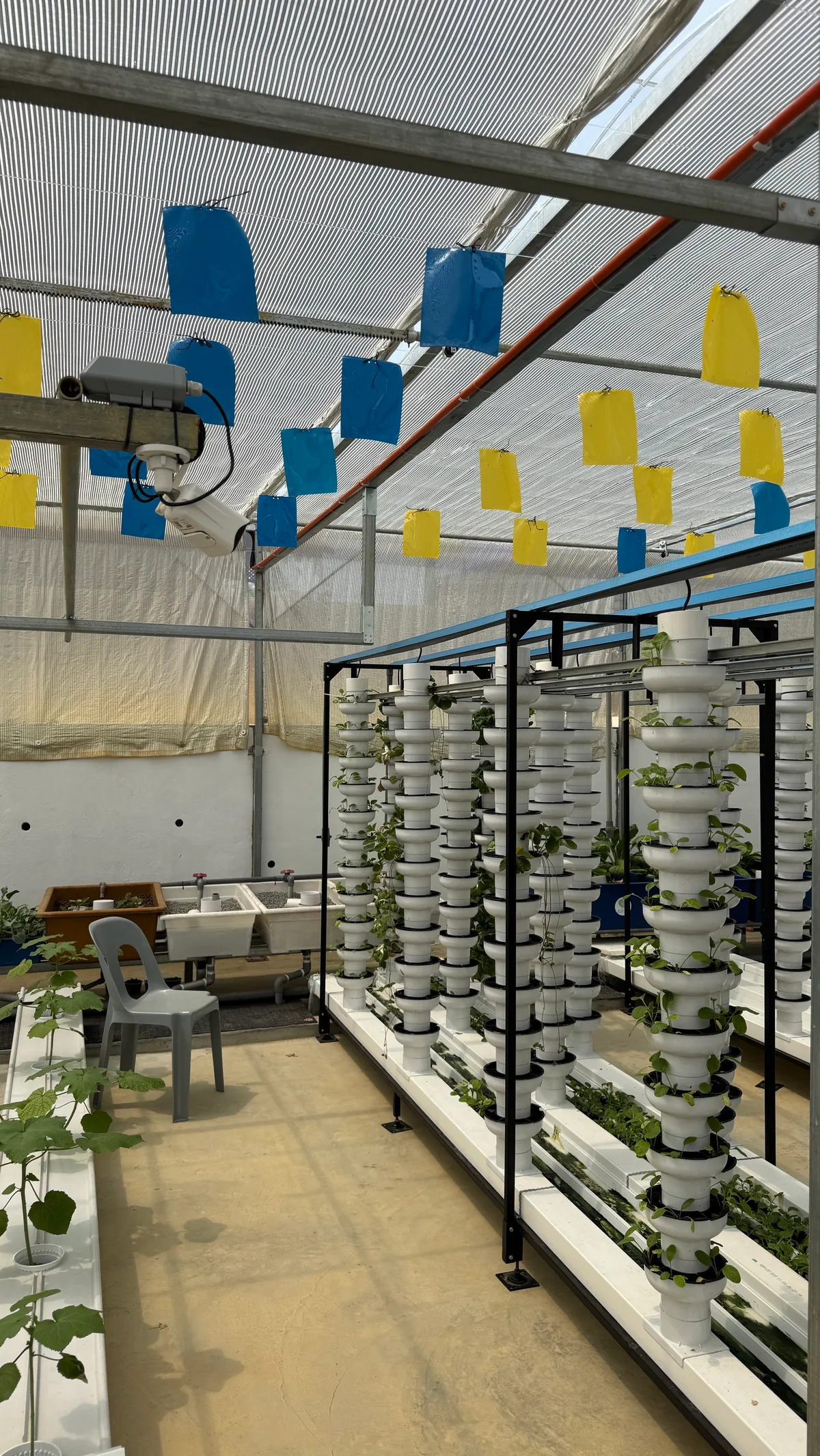 Growing rows, vertical towers and overhead camera infrastructure at HAVVA Innovation Campus
