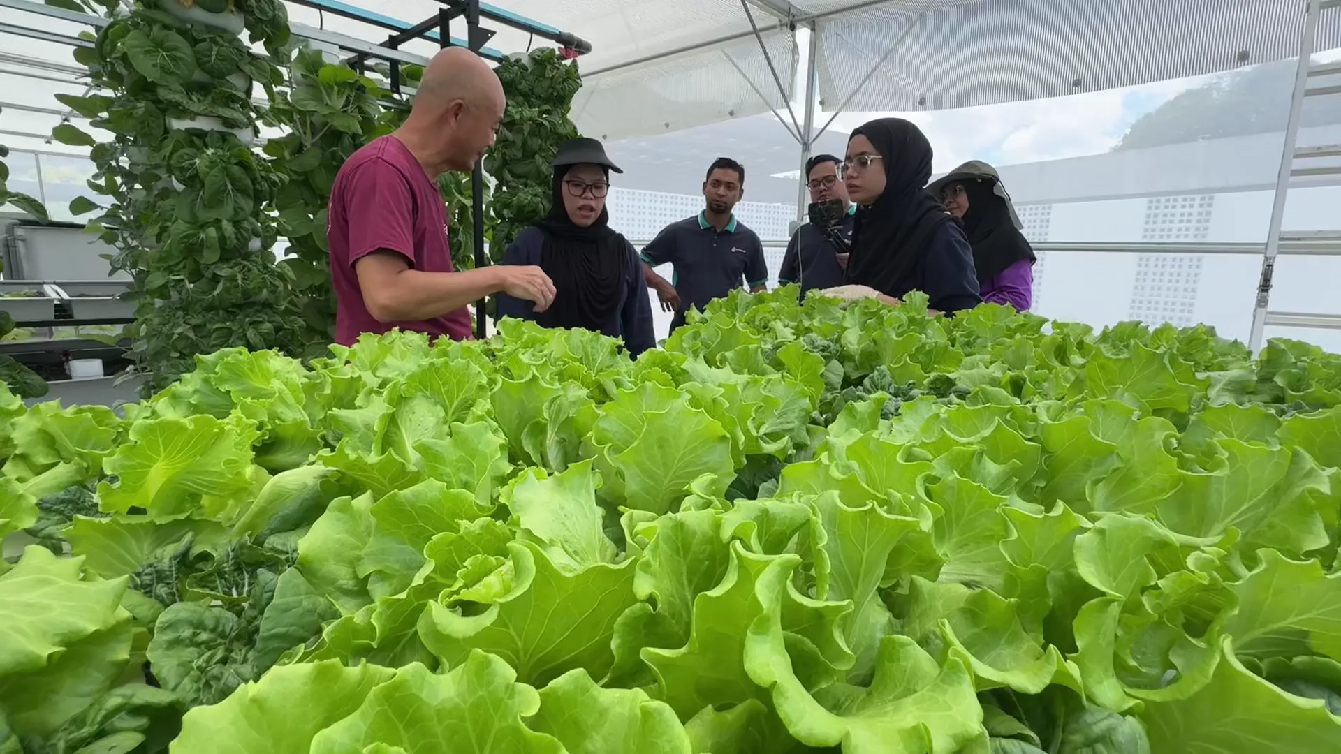 HAVVA's team demonstrating real growing systems at the farm