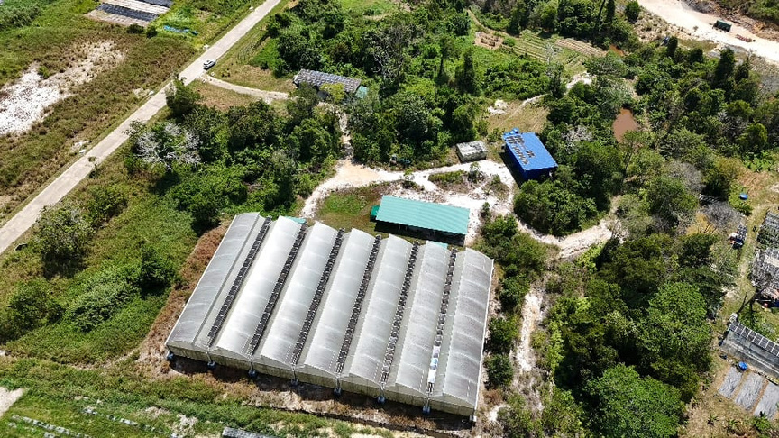 Springhill Farm