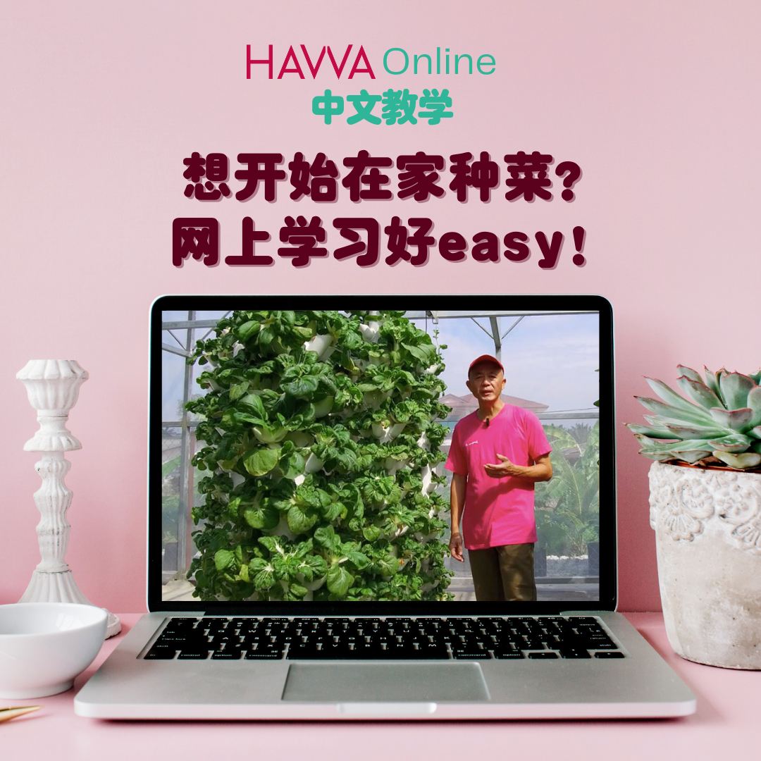 HAVVA online farming workshop in Chinese
