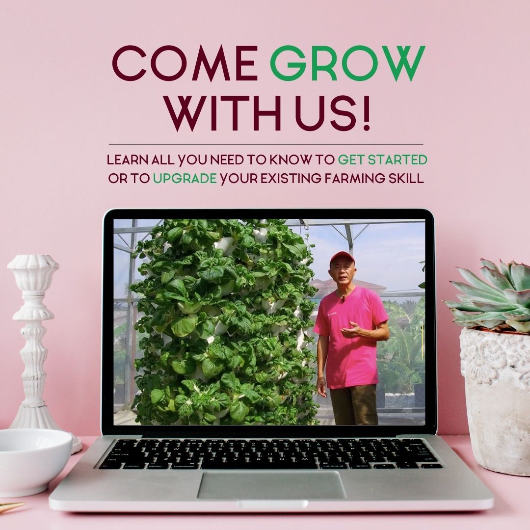 HAVVA online farming workshop in English