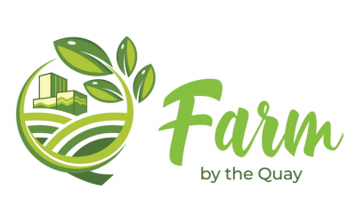 HAVVA collaborate with Gamuda to build the first urban farm in Quayside Mall at Selangor – Part 5 (END)