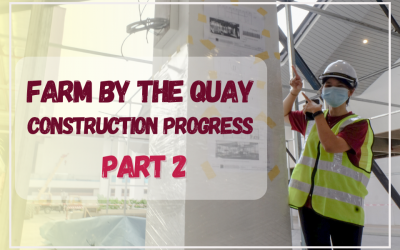 HAVVA collaborate with Gamuda to build the first urban farm in  Quayside Mall at Selangor – Part 2