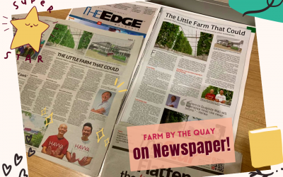 Headline in The Star- The 1st urban farm in a mall that HAVVA collaborate with Gamuda