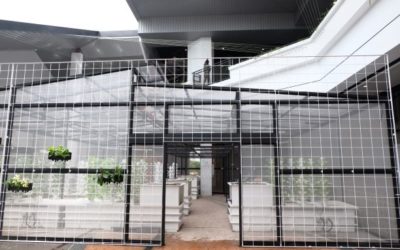 Aquaponic Urban Vertical Garden | Farming Solutions Malaysia