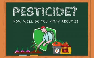 Top 3 natural and organic pesticide that you don’t know can be  used at home gardening