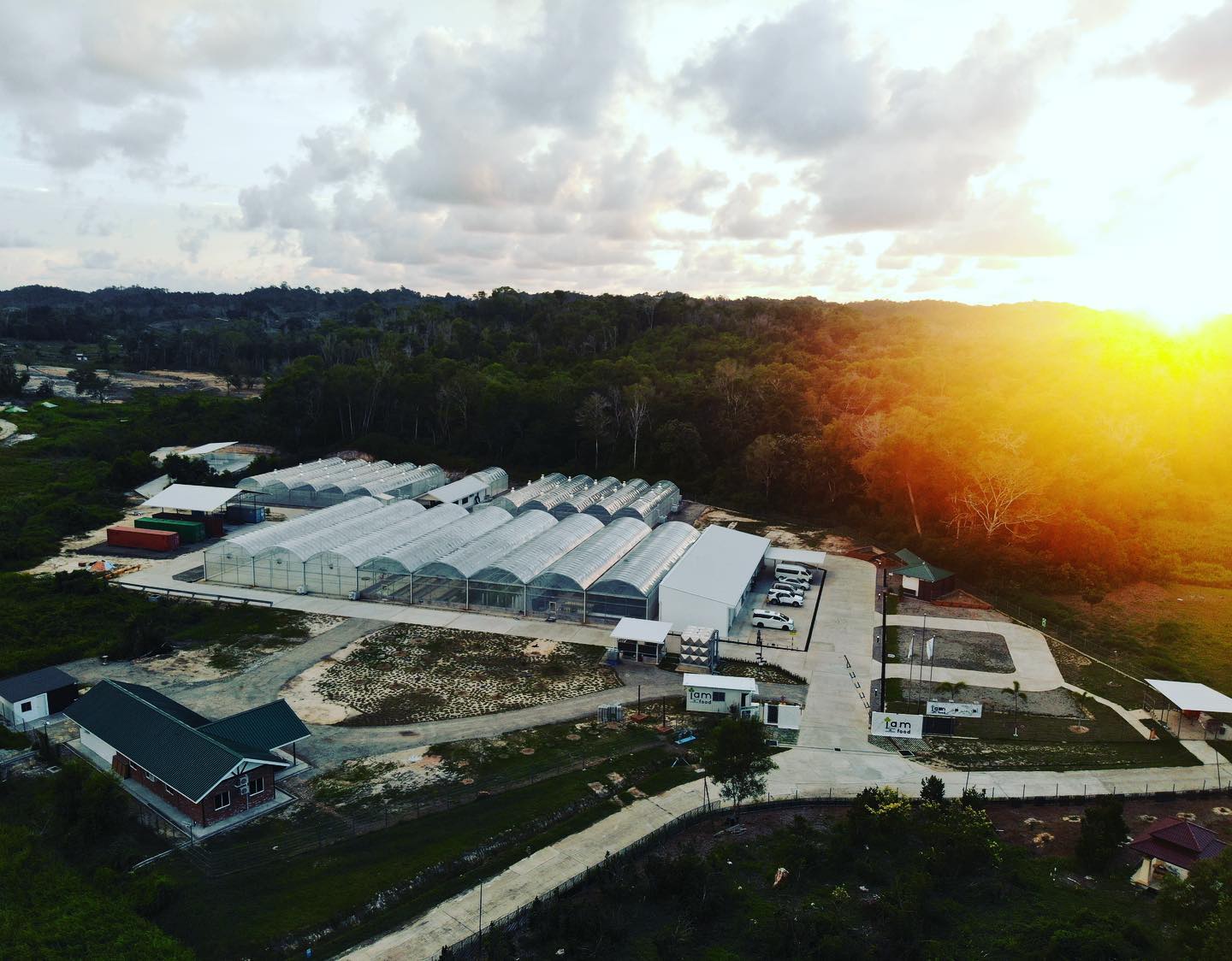 How Does A Commercial Urban Farm Look Like & How It Works